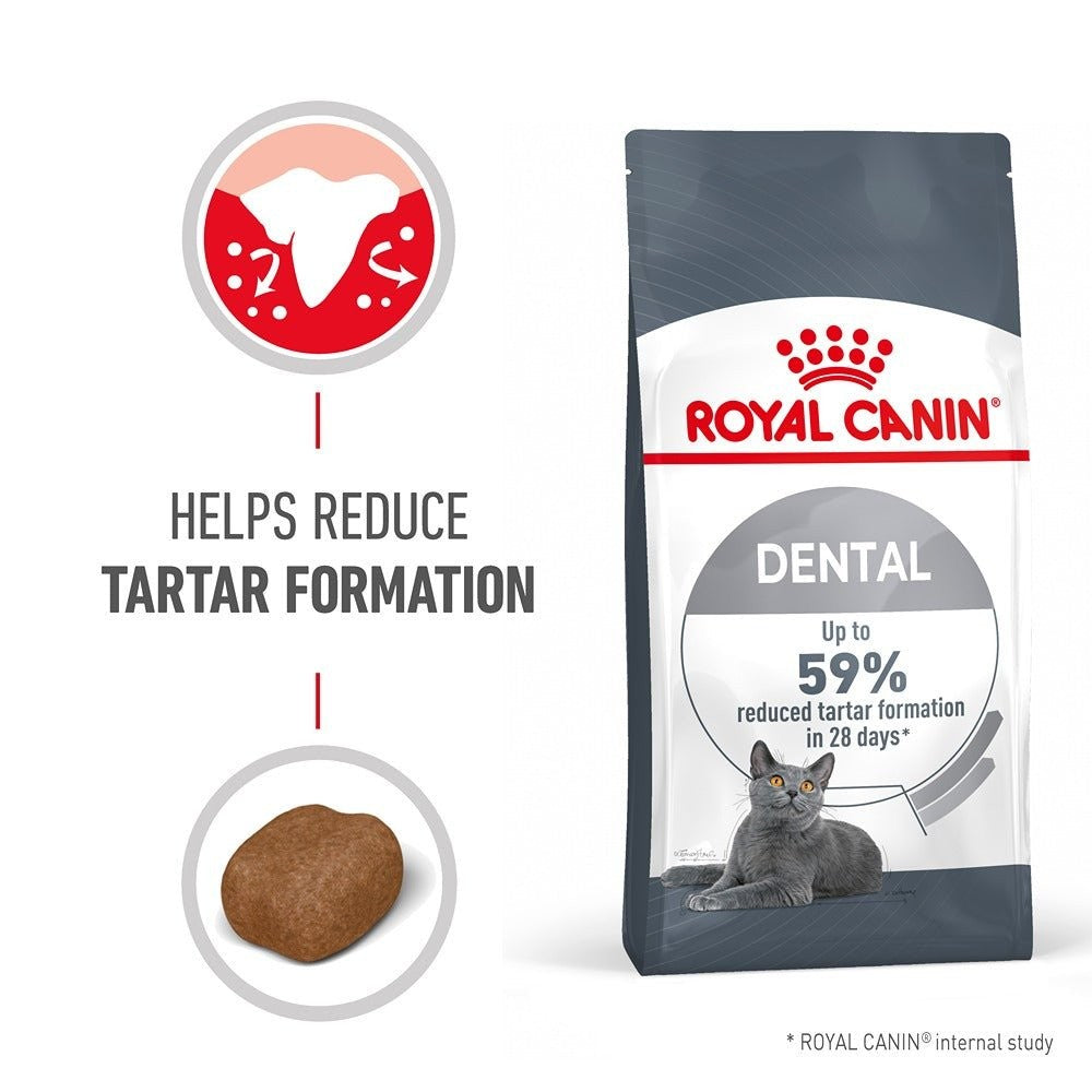Royal Canin Dental Dry Cat Food + Greenies Cat Treat Bundle
