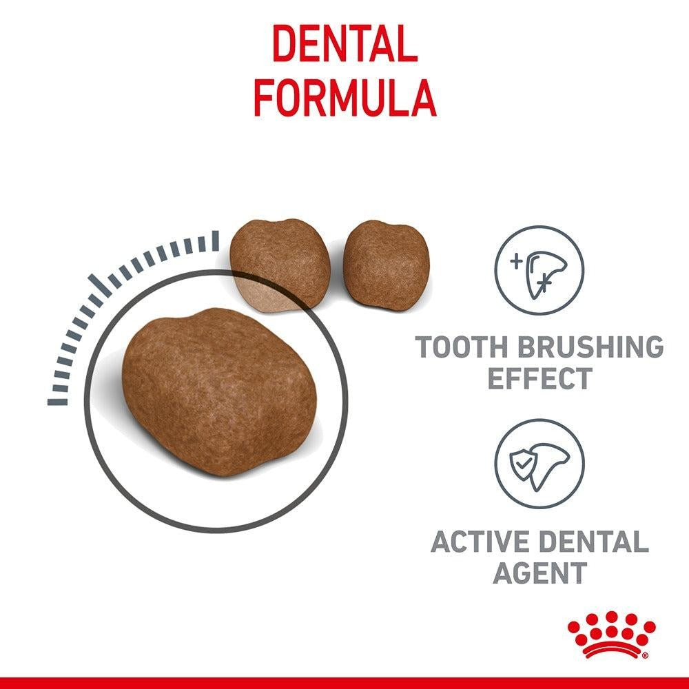 Royal Canin Dental Dry Cat Food + Greenies Cat Treat Bundle