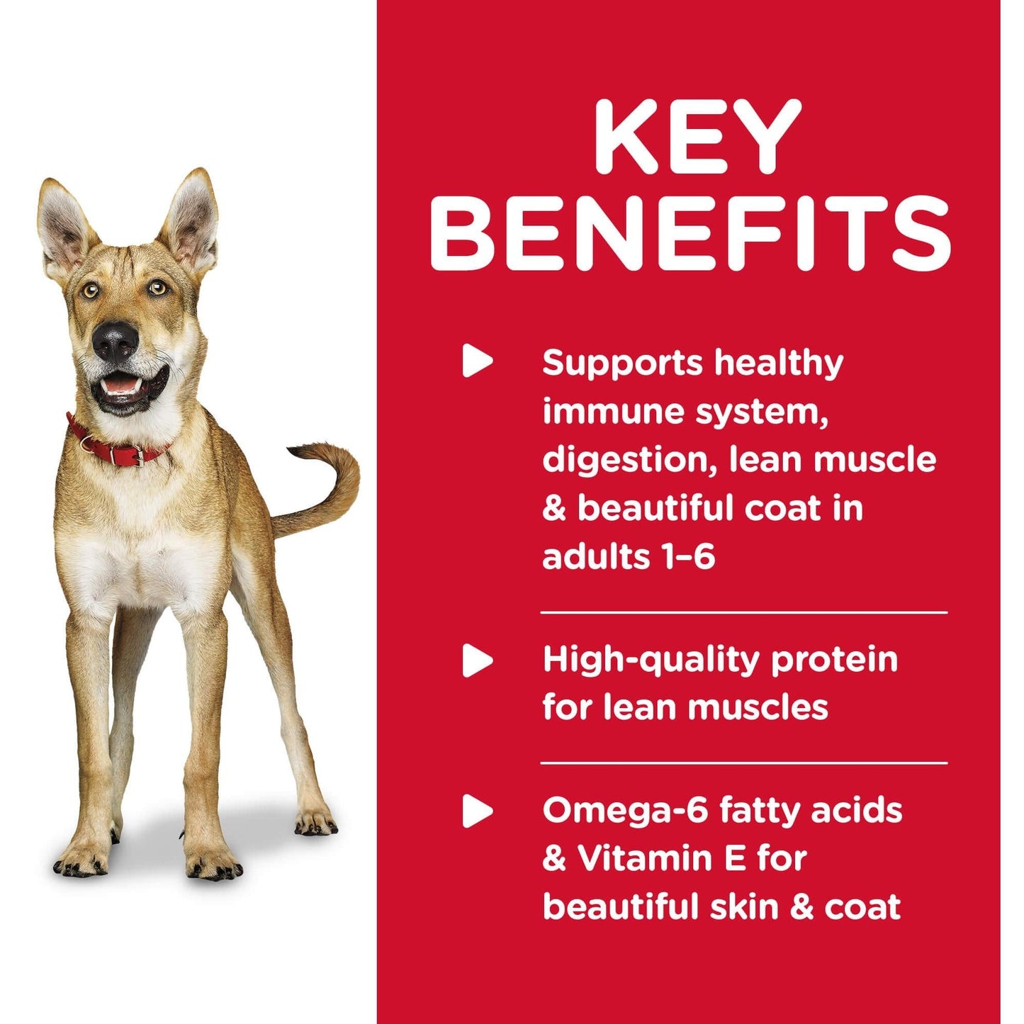 Hill's Science Diet Adult Beef & Chicken Wet Dog Food Bundle