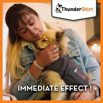 Thundershirt Anti Anxiety Shirt for Dogs