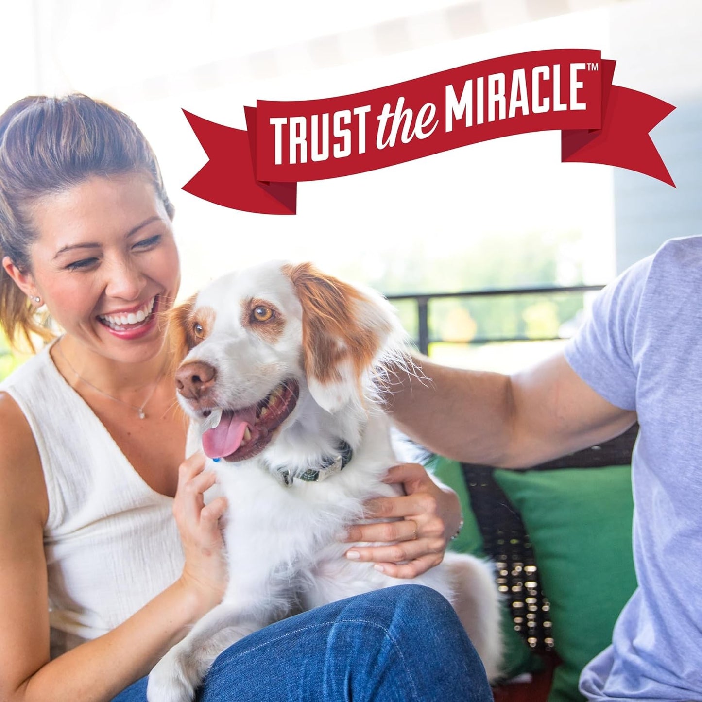 Nature's Miracle Advanced Formula Dog Stain & Odour Remover Sunny Lemon Scent