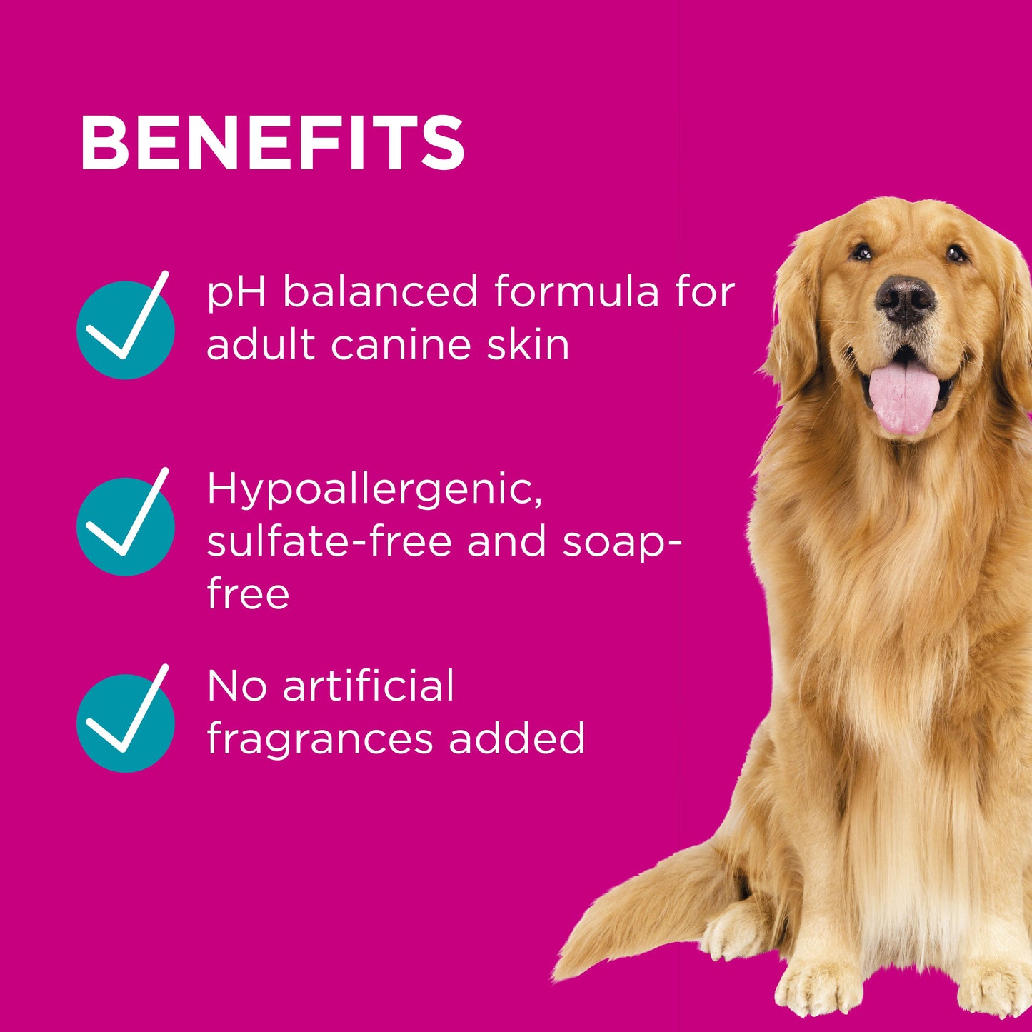 PAW 2 in 1 Conditioning Dog Shampoo