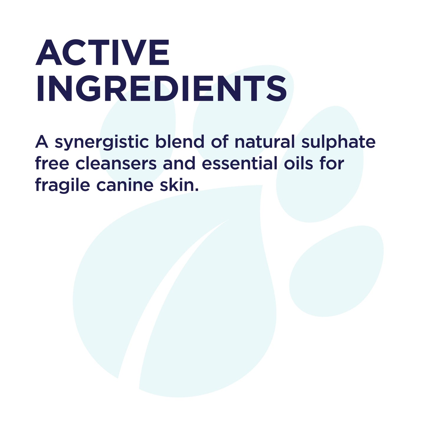 PAW Sensitive Skin Shampoo
