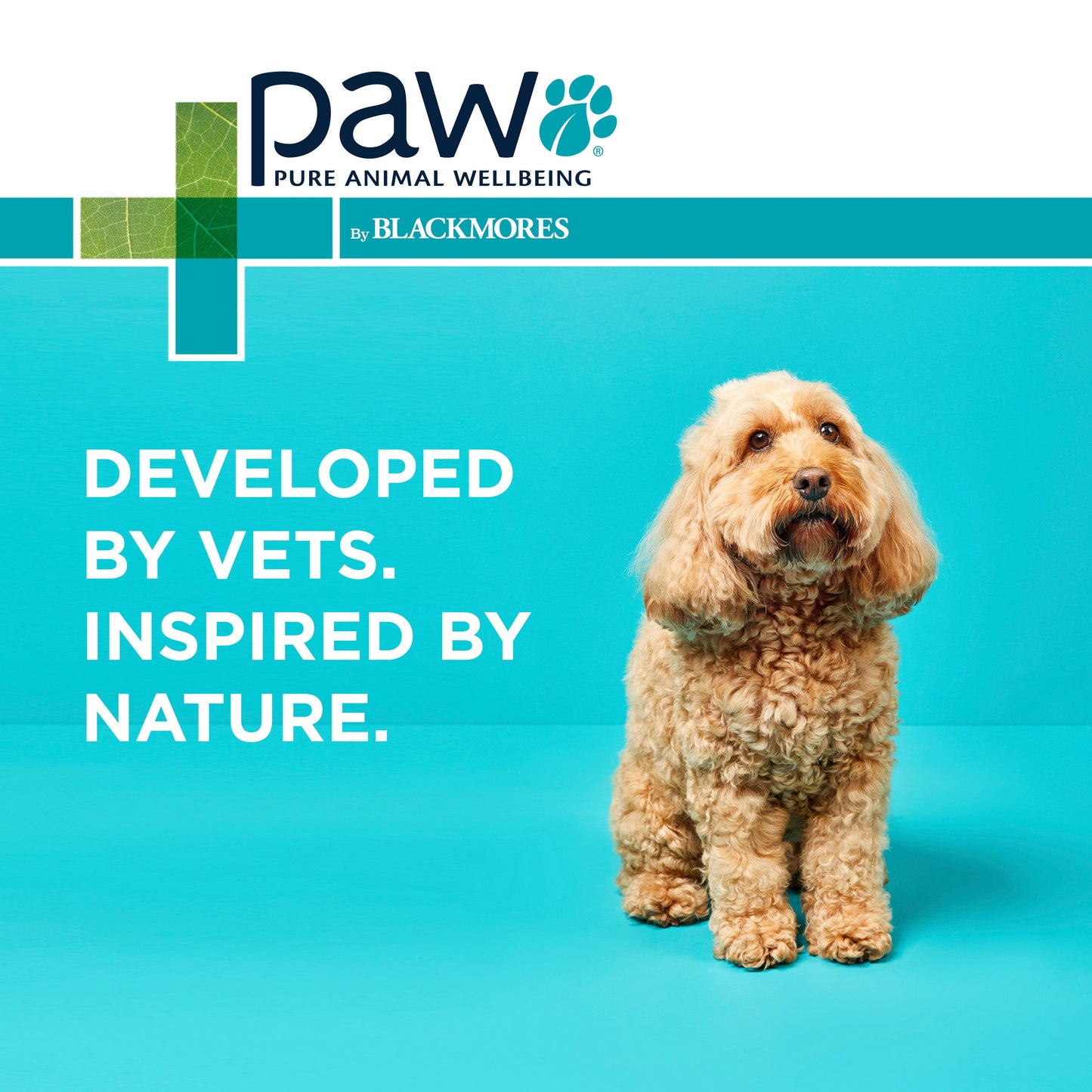 PAW Sensitive Skin Shampoo