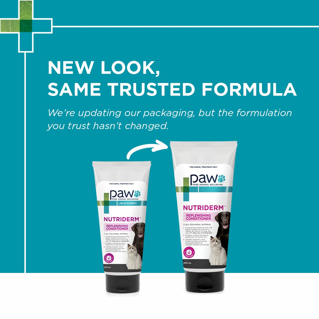 PAW NutriDerm Replenishing Conditioner