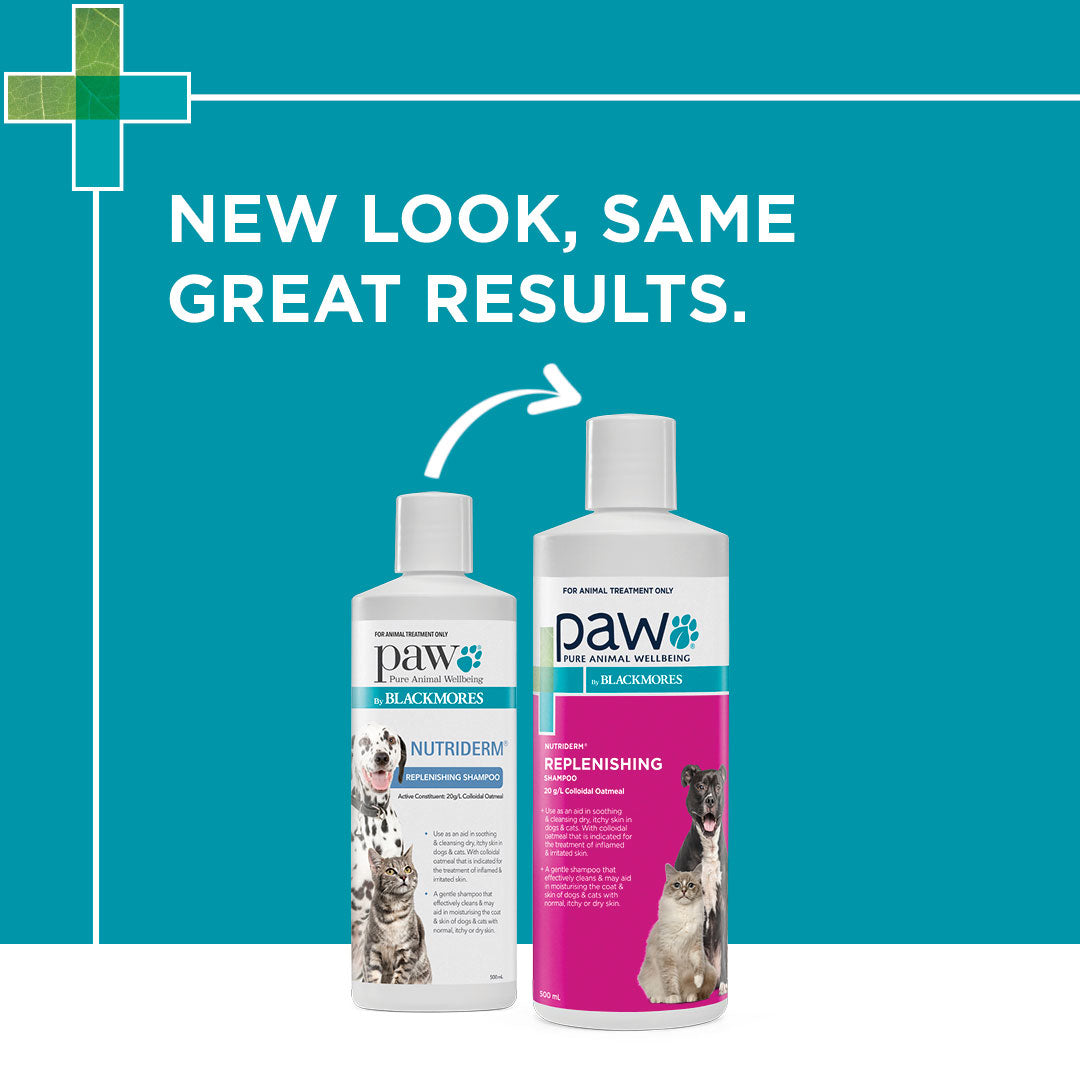 PAW Nutriderm Shampoo 500ml
