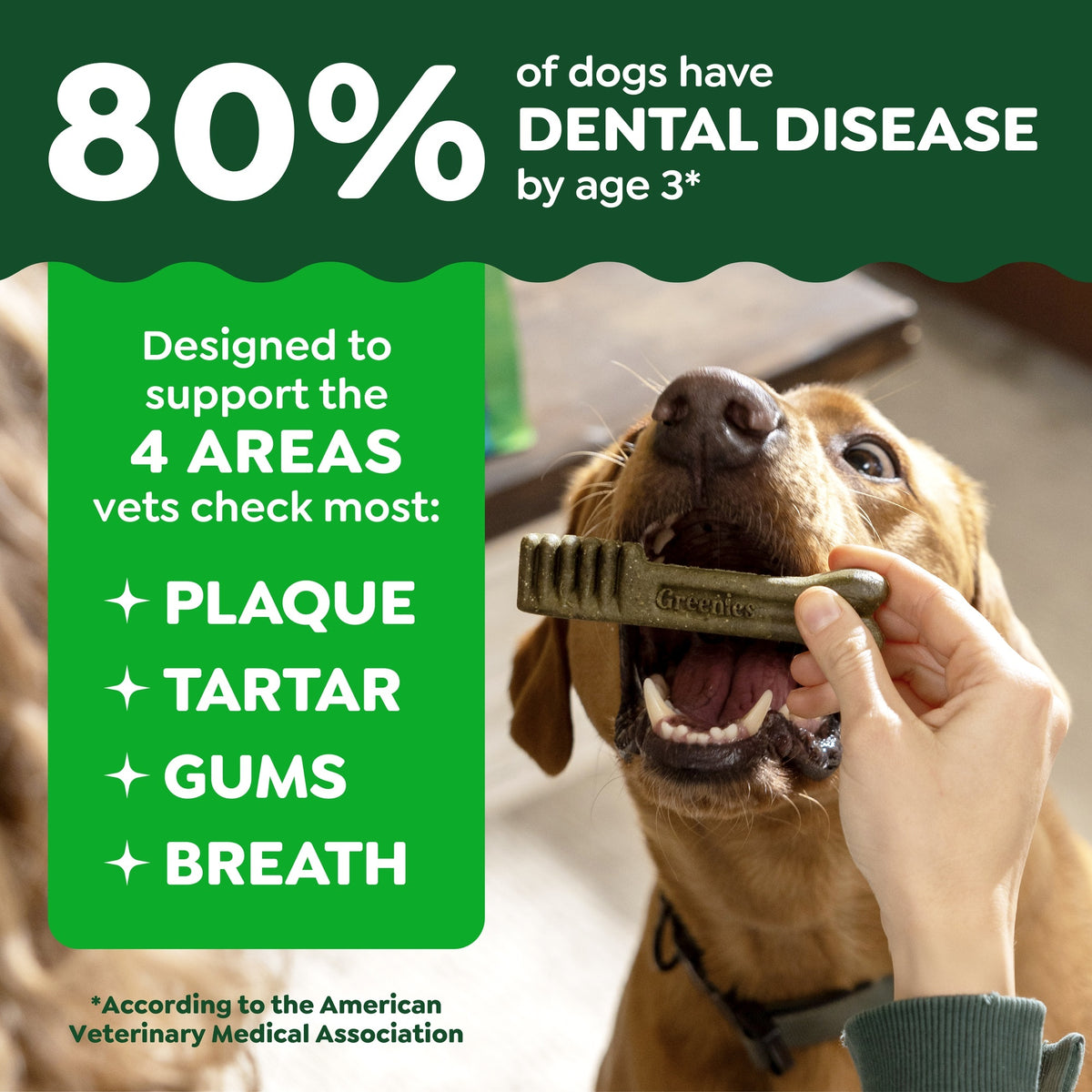 Greenies Regular Medium Breed Original Dental Dog Treats