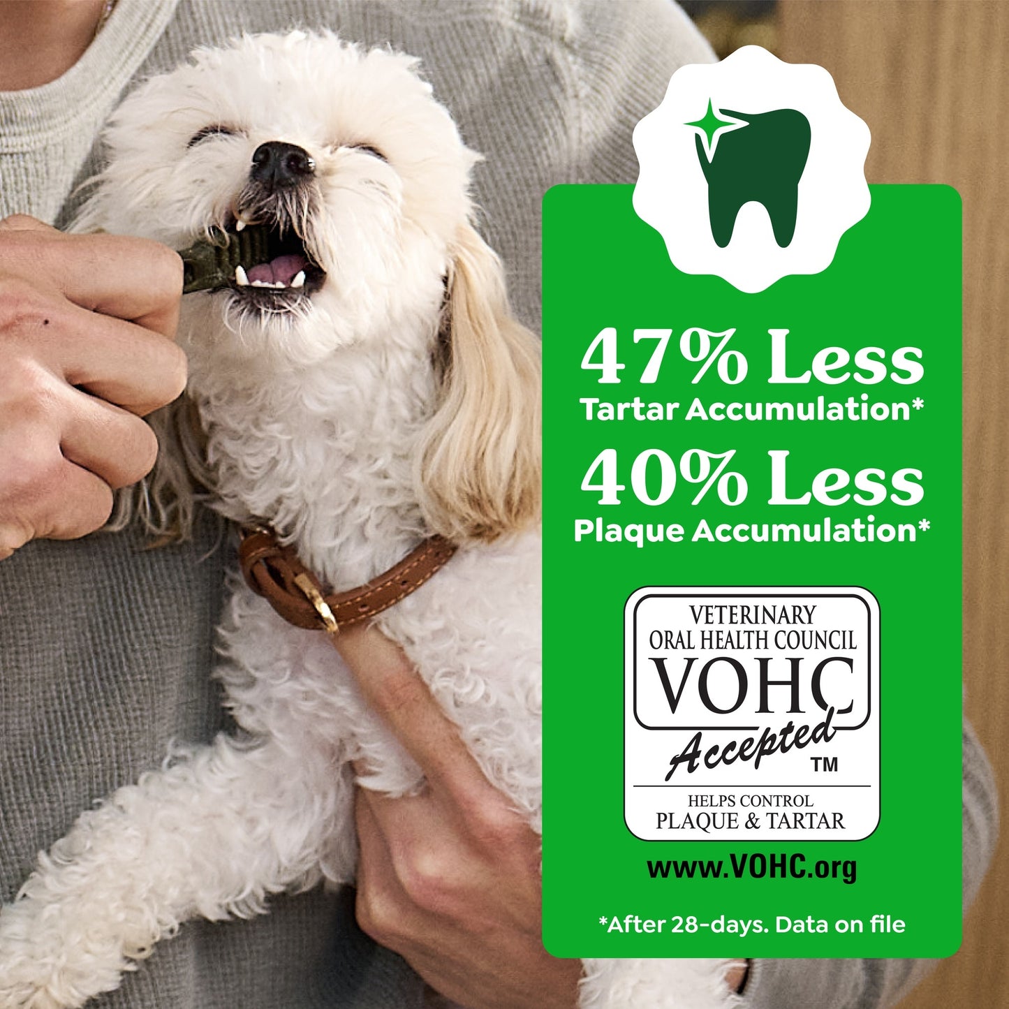 Greenies Large Breed Original Dental Dog Treats