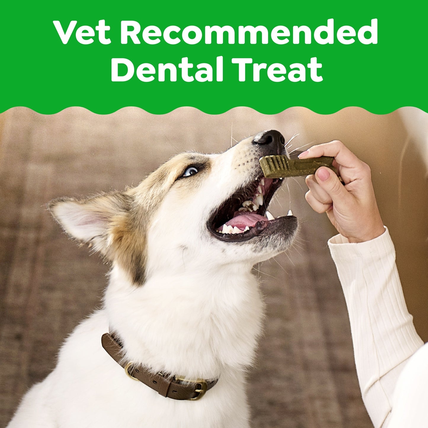 Greenies Large Breed Original Dental Dog Treats