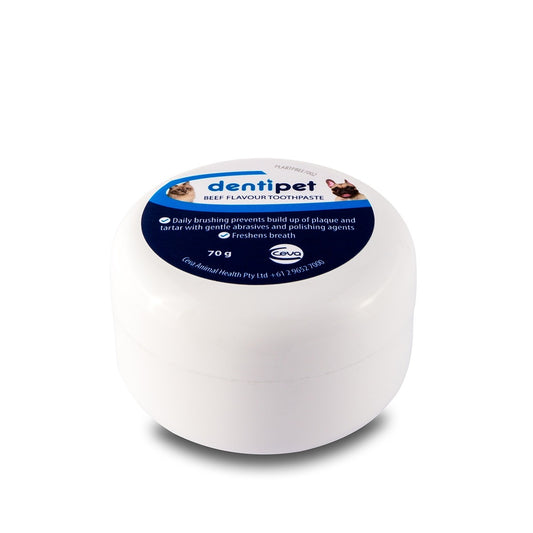 Dentipet Beef-Flavoured Toothpaste for Cats & Dogs
