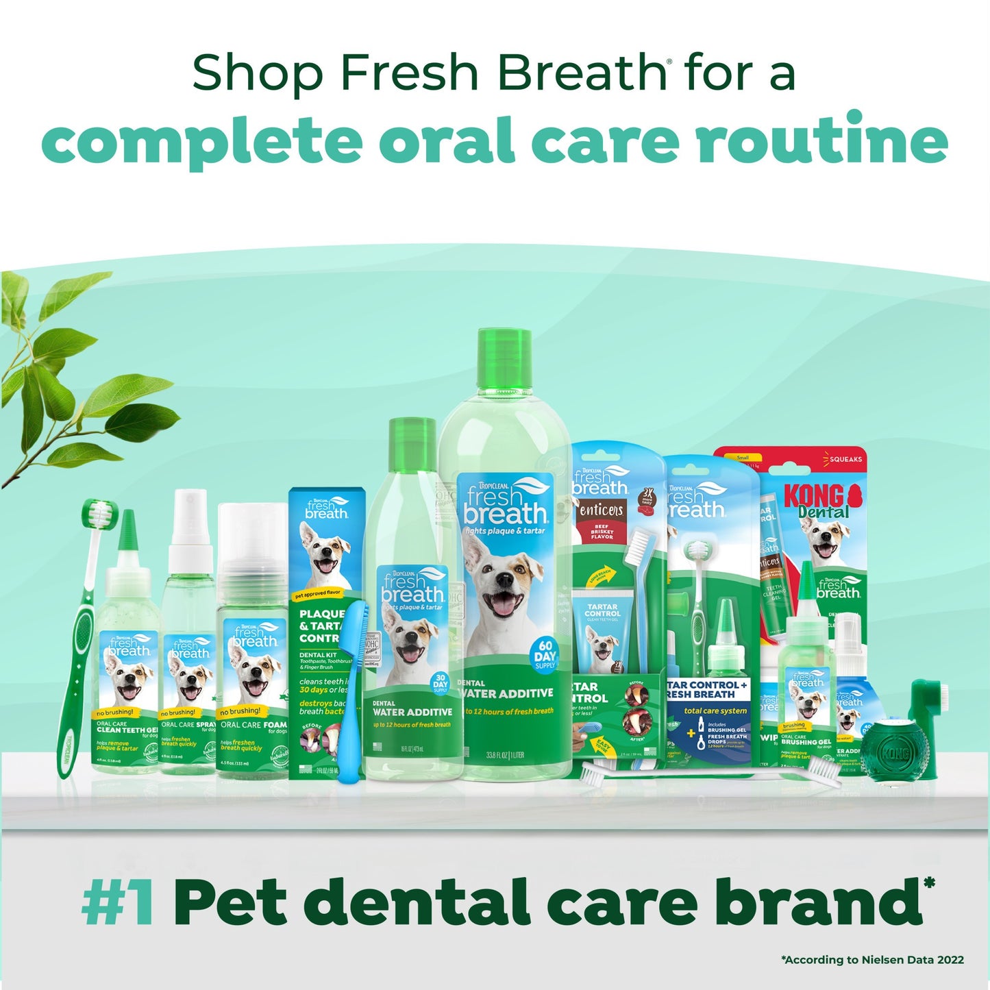 TropiClean Fresh Breath Dental Health Solution for Dogs