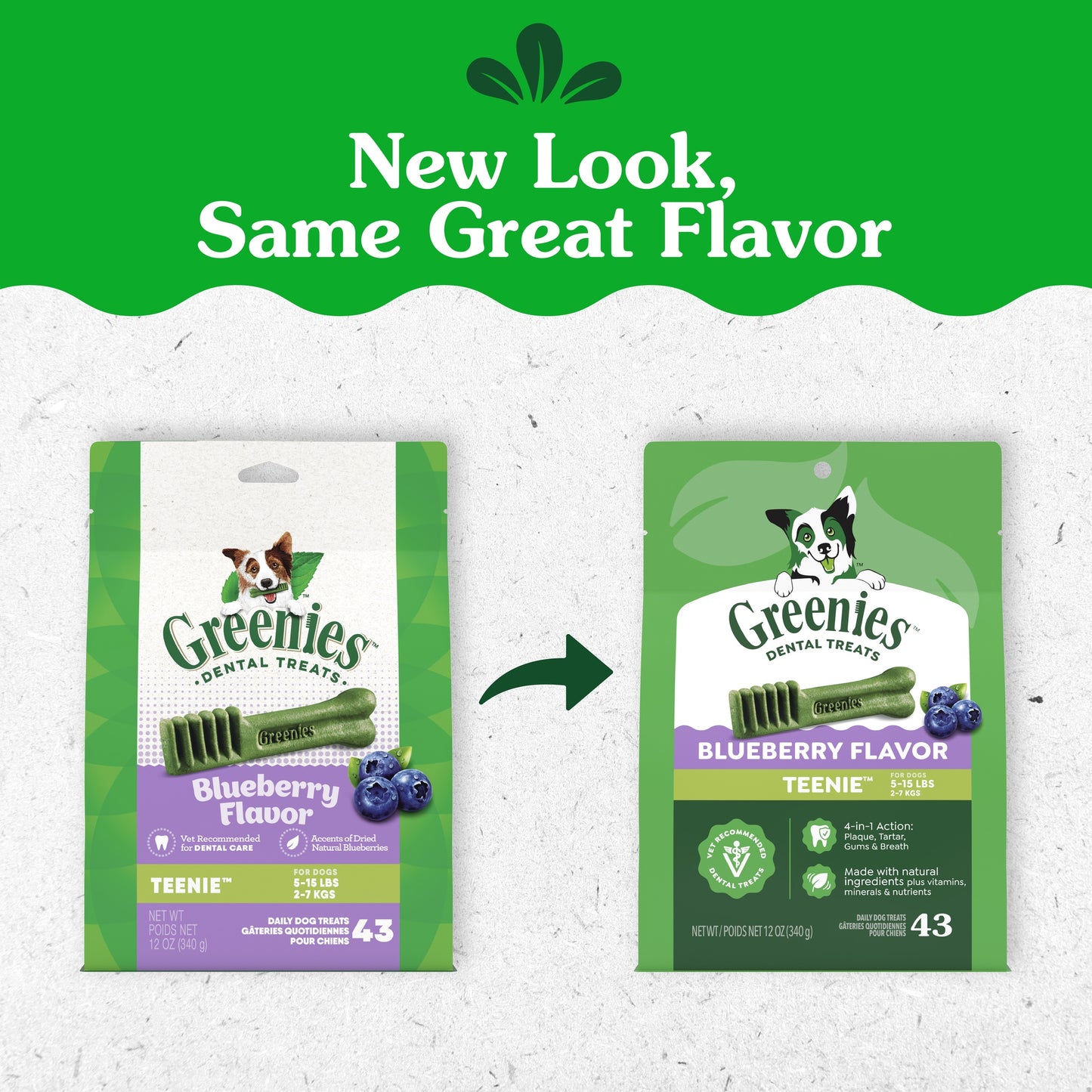 Greenies Blueberry Teenie Dental Chews Dog Treats