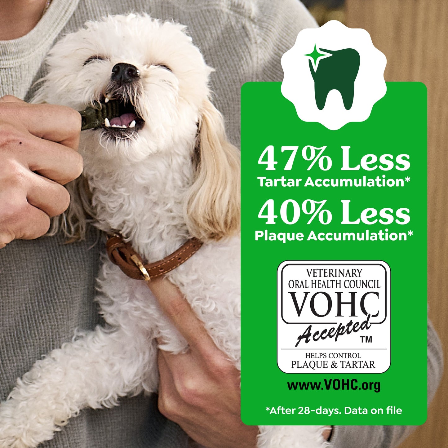 Greenies Blueberry Petite Chews Dog Dental Treats