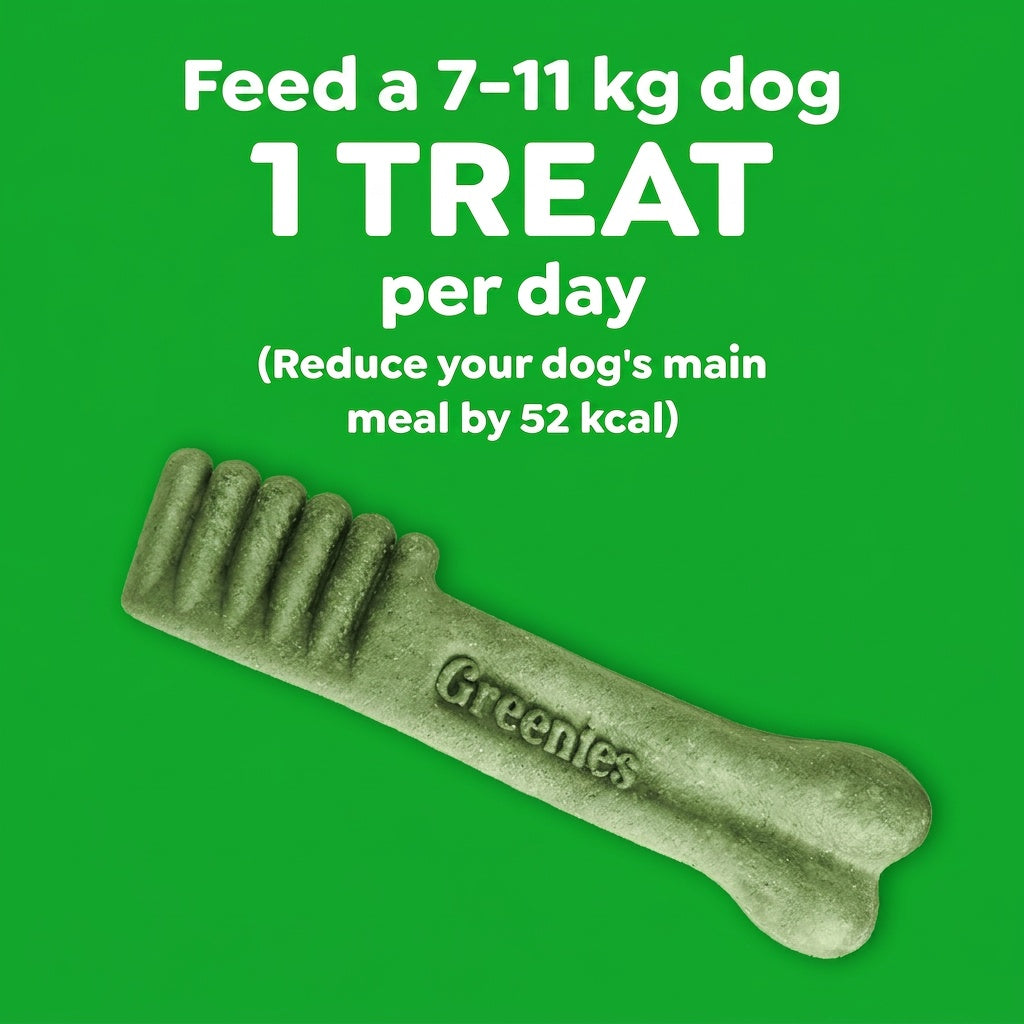 Greenies Blueberry Petite Chews Dog Dental Treats