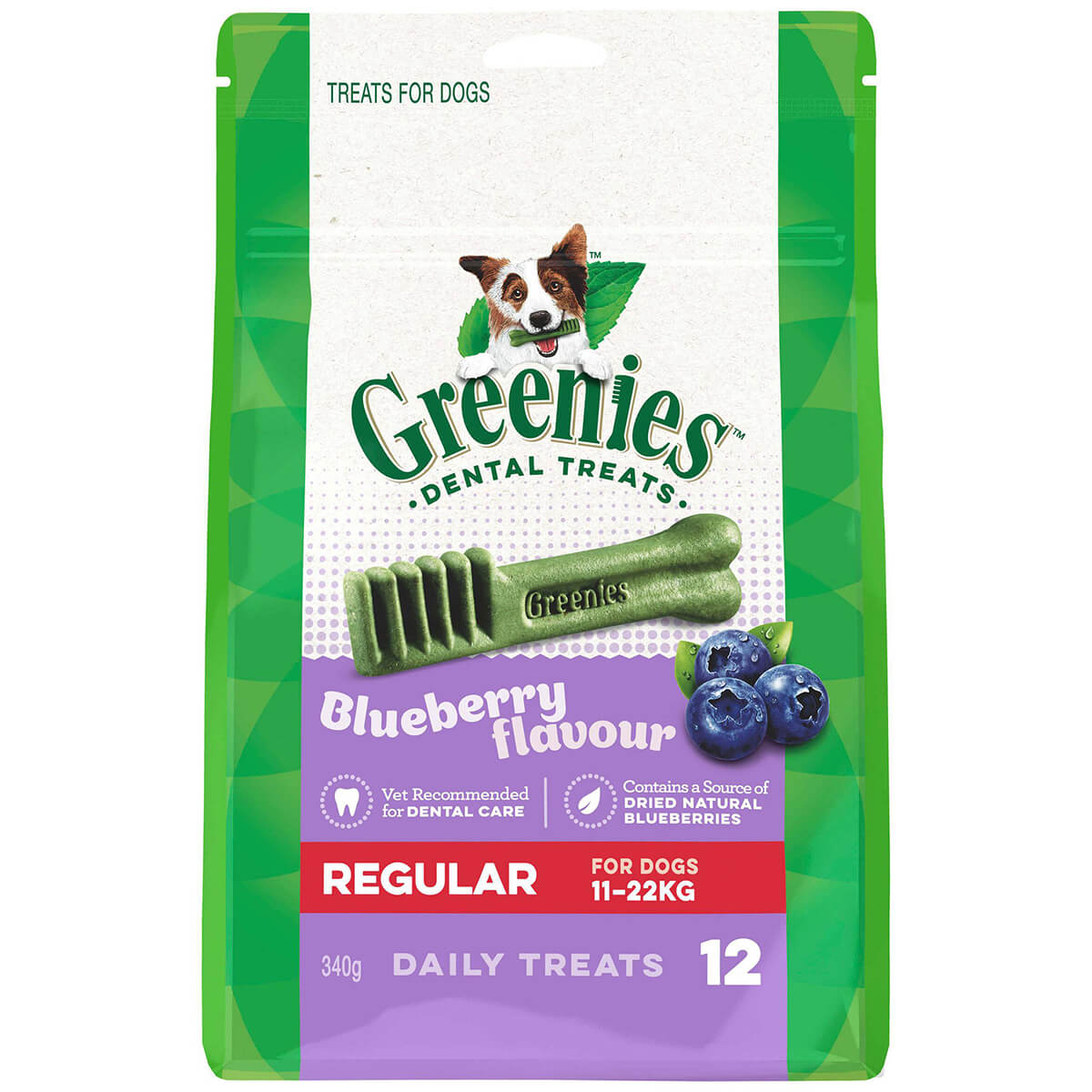 Greenies Blueberry Regular Chews Dog Dental Treats