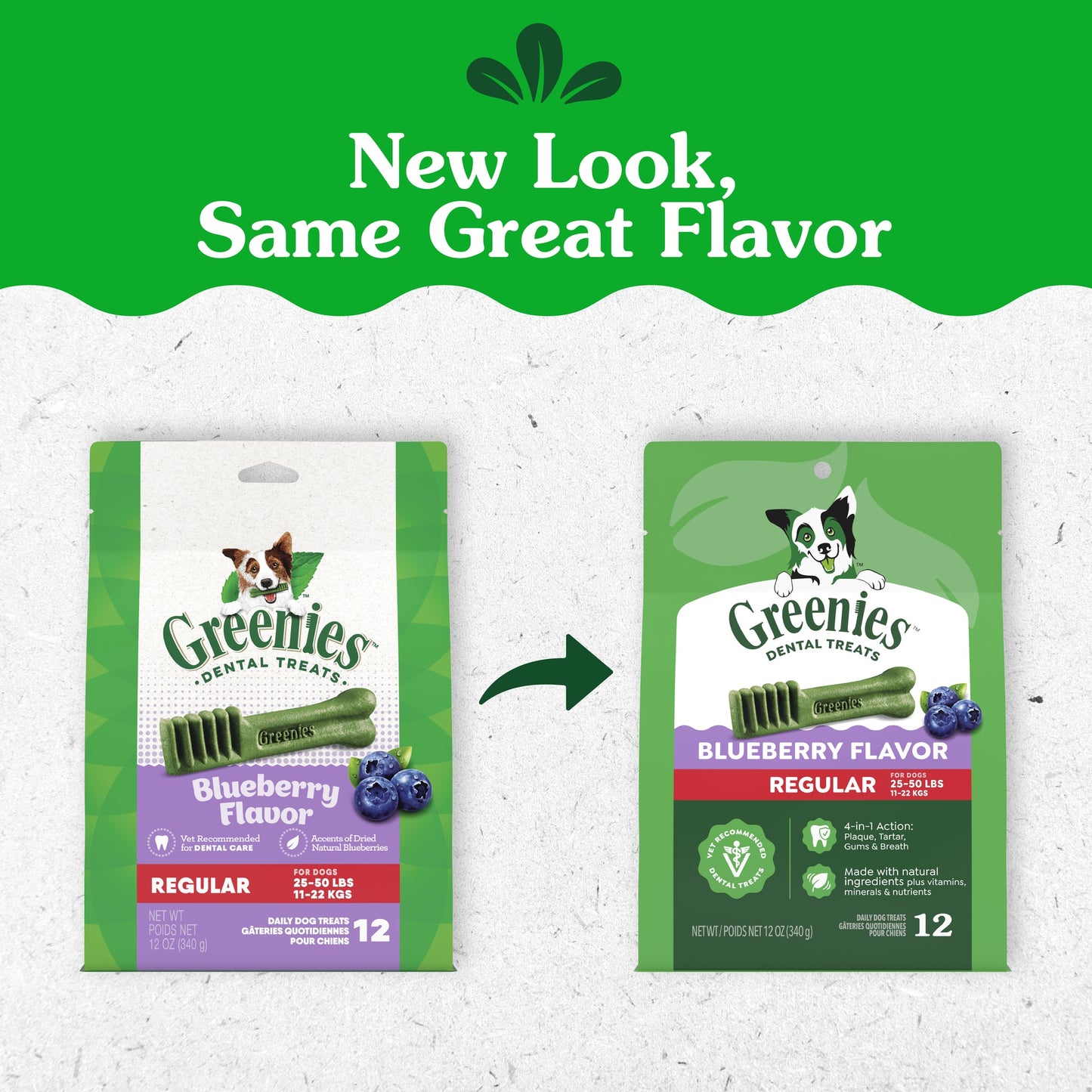 Greenies Blueberry Regular Chews Dog Dental Treats