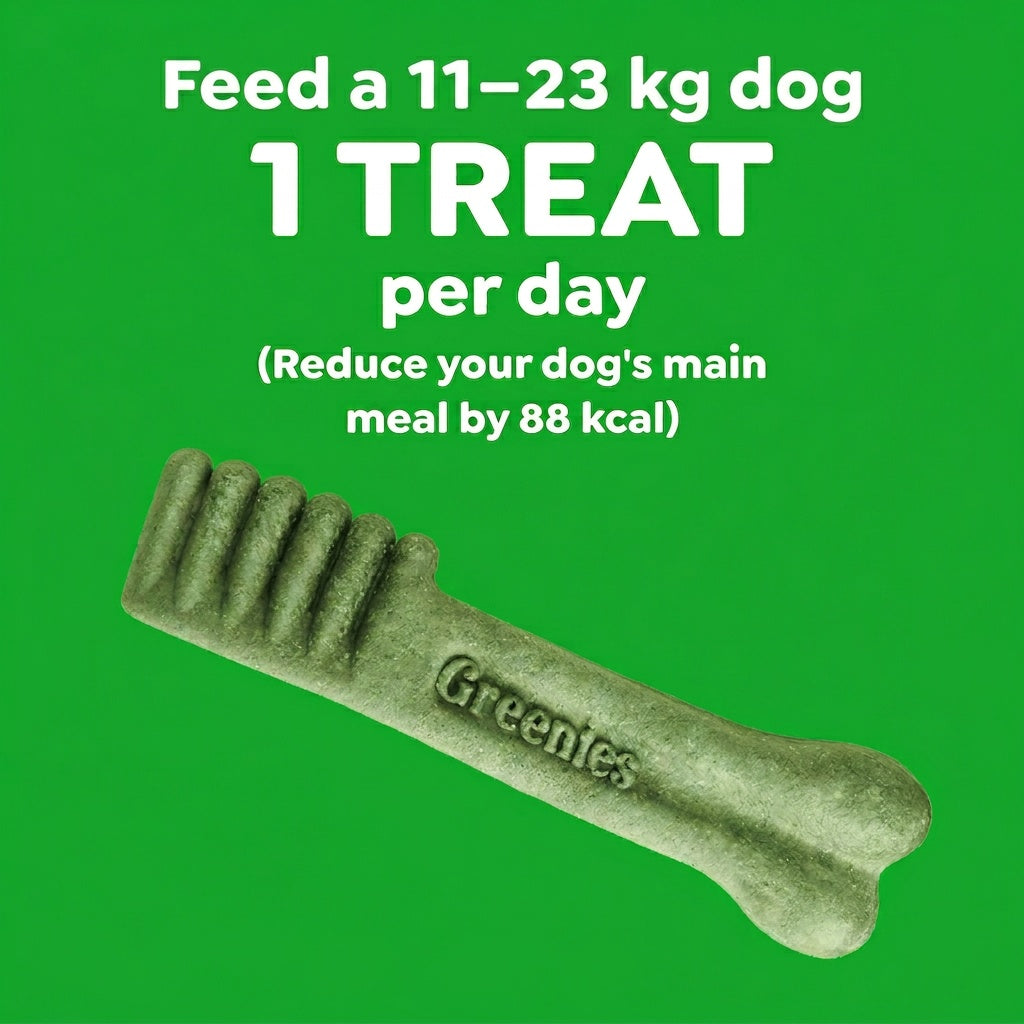 Greenies Blueberry Regular Chews Dog Dental Treats