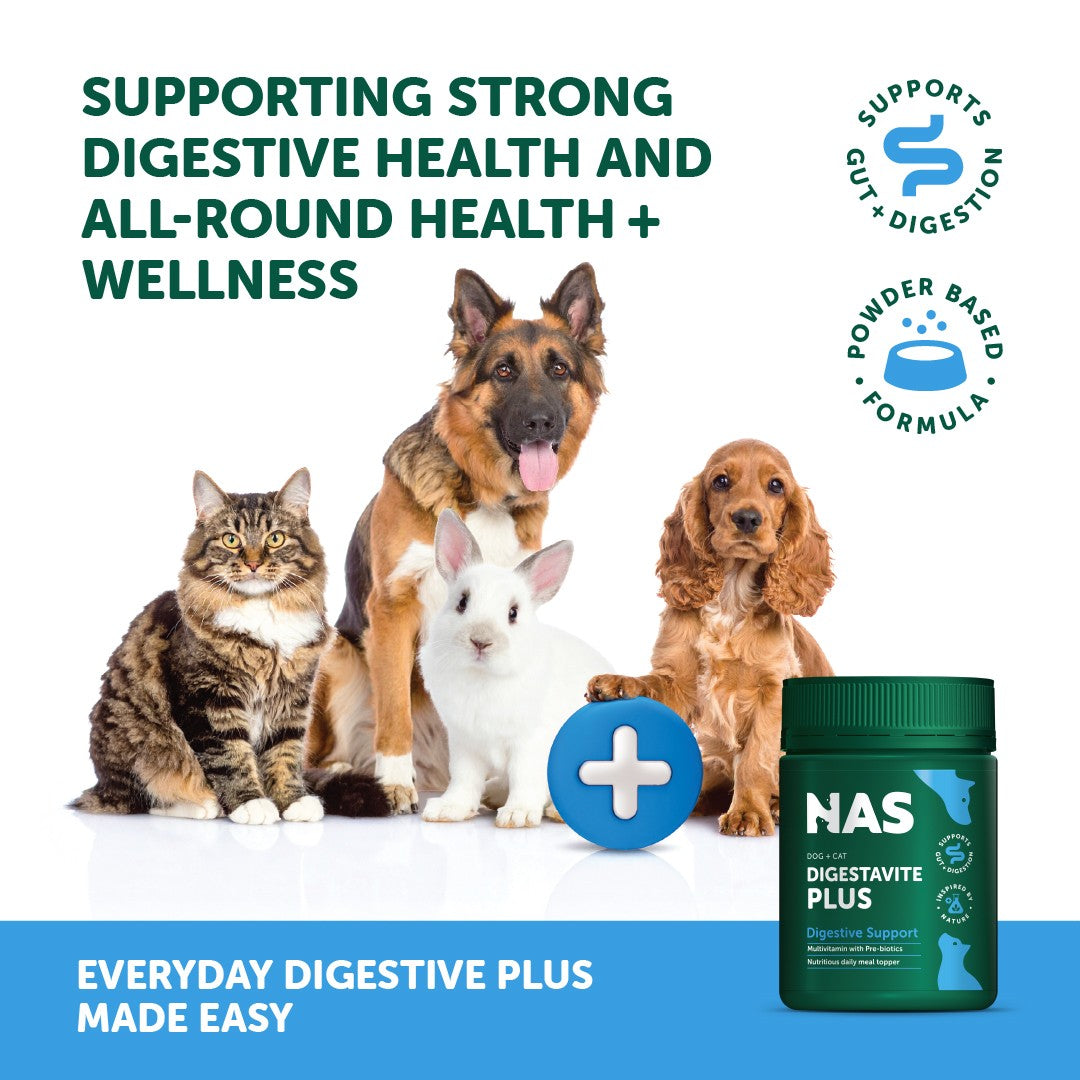 NAS DigestaVite Plus Dog & Cat Supplement