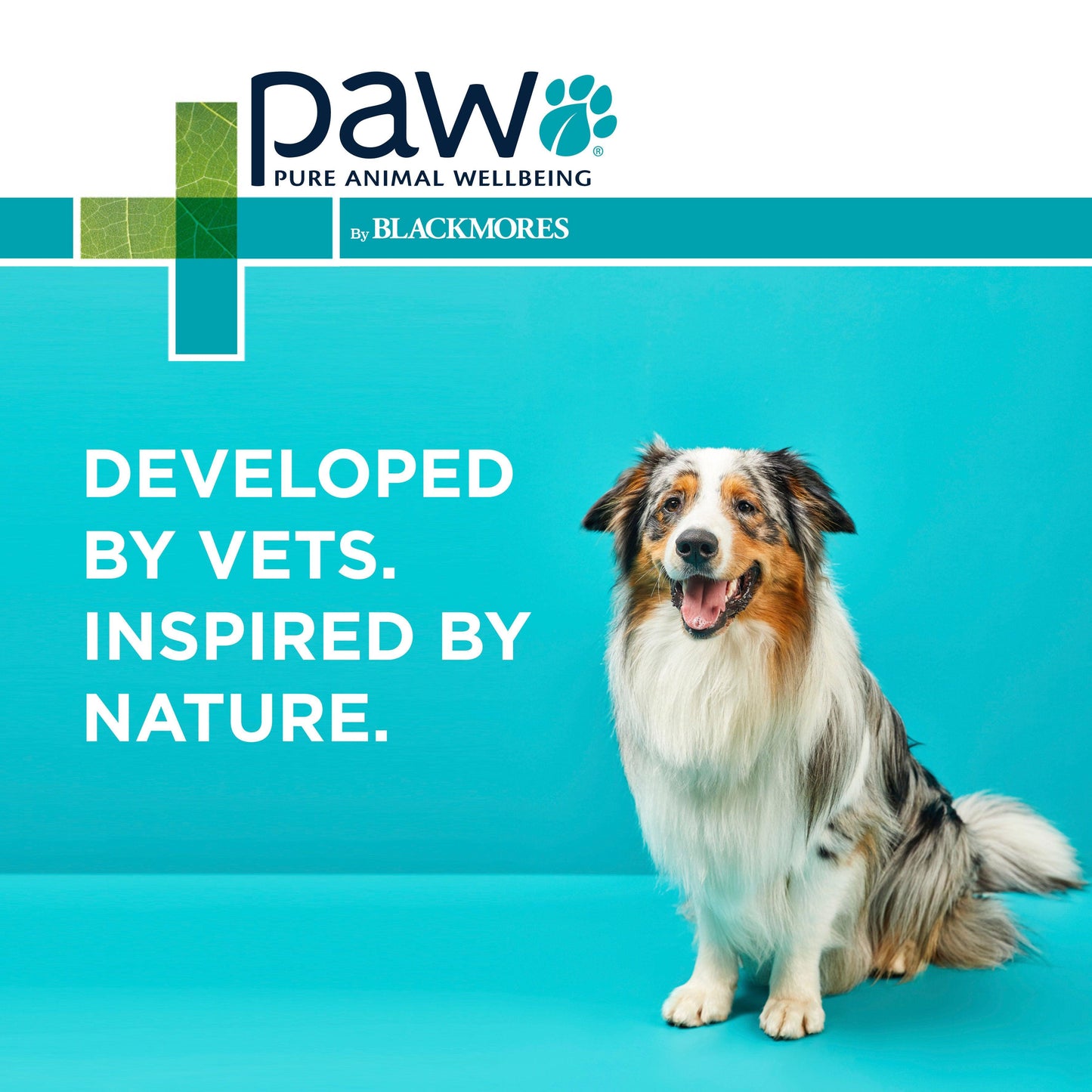 PAW  Osteosupport  Joint Care Capsules for Dogs