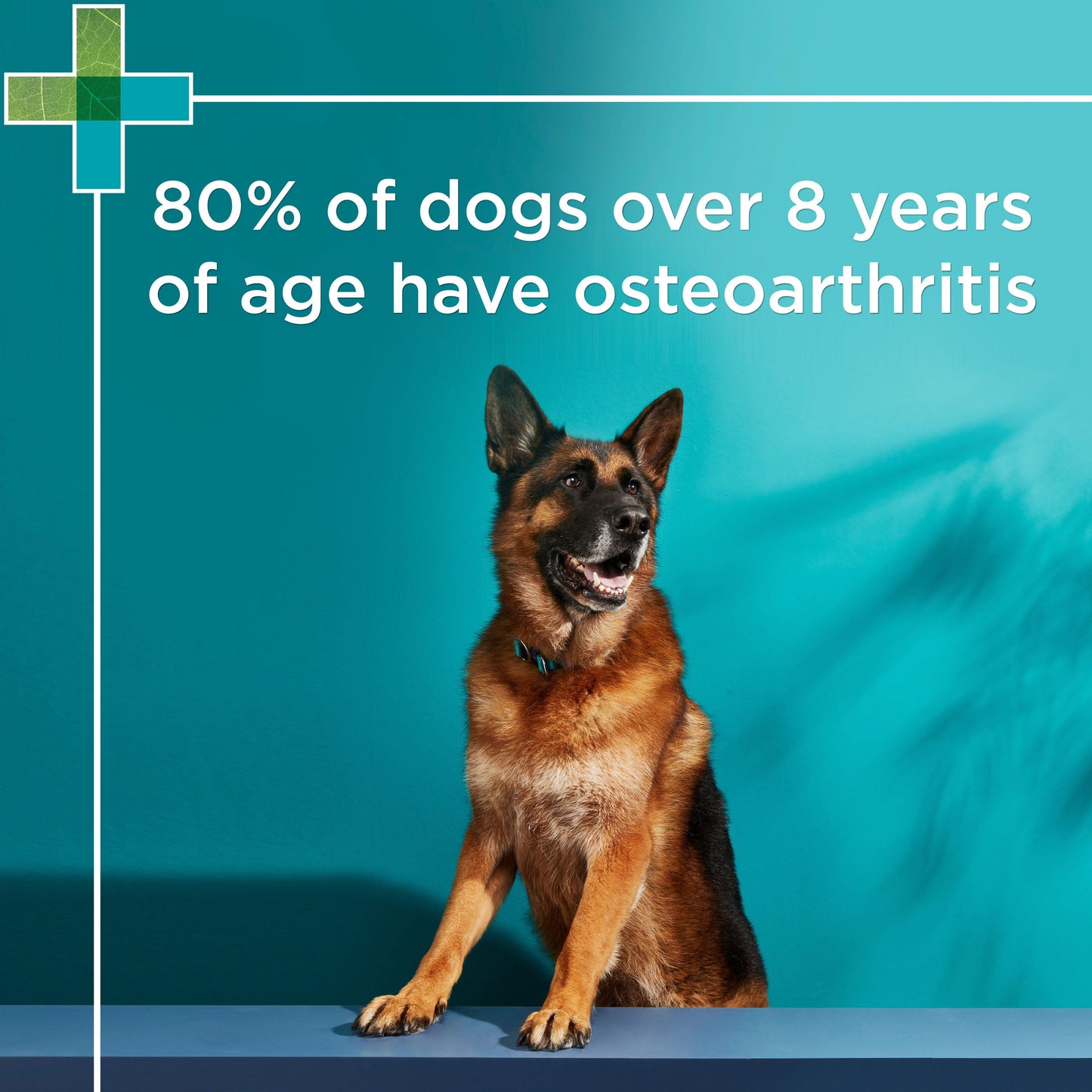 PAW  Osteosupport  Joint Care Capsules for Dogs