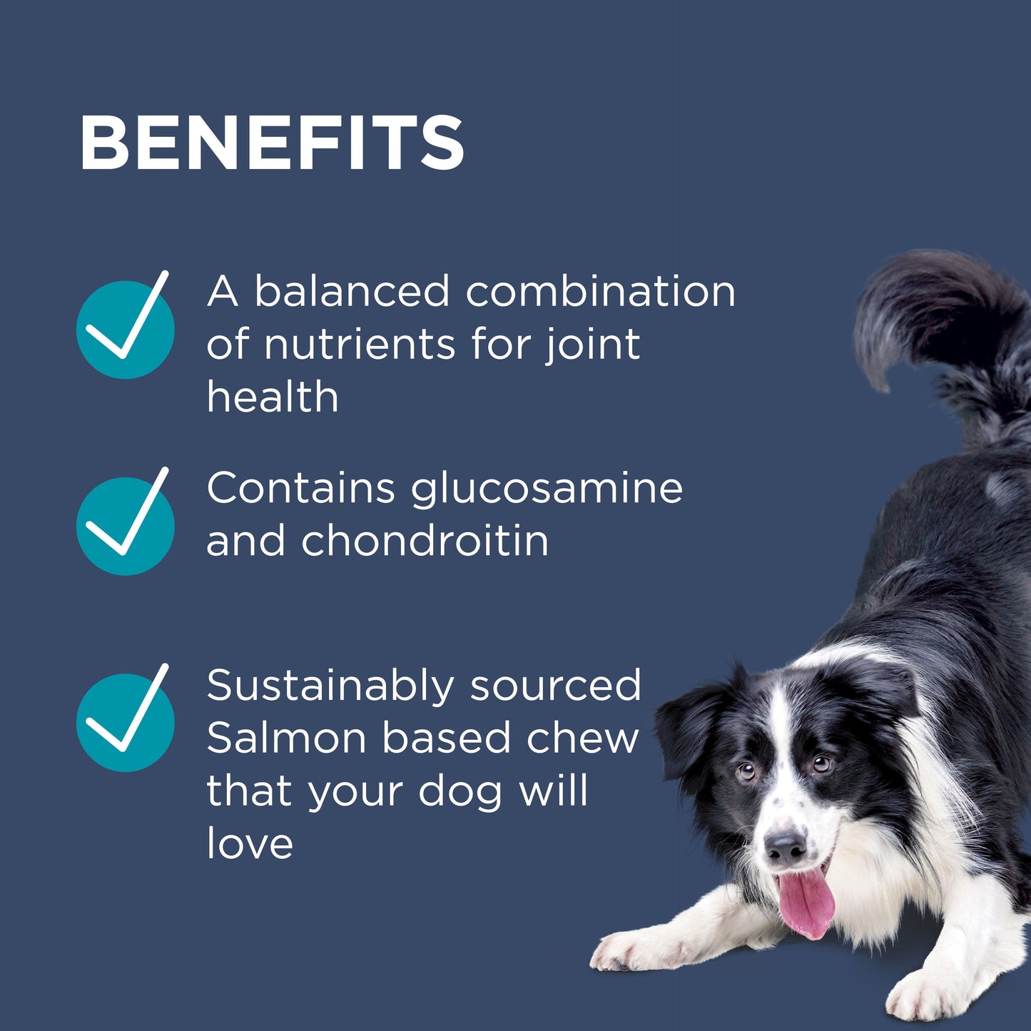 PAW Osteocare Joint Health Chews