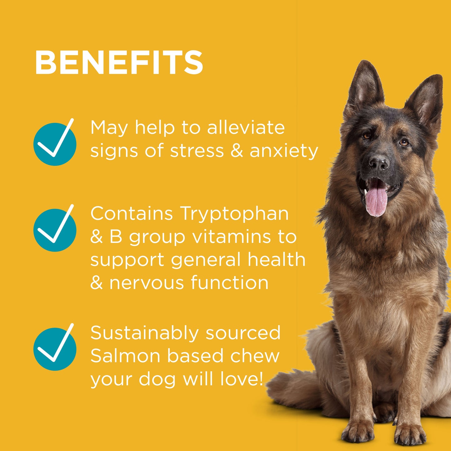 PAW Complete Calm Chews