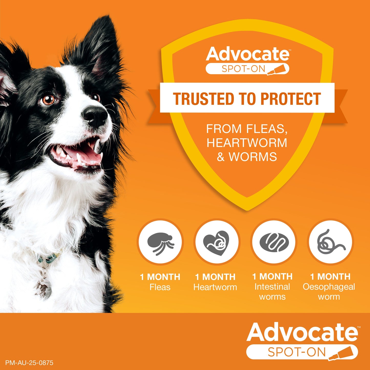 Advocate Extra Large Breed 25kg+ Flea & Worming Spot-On Dog Treatment