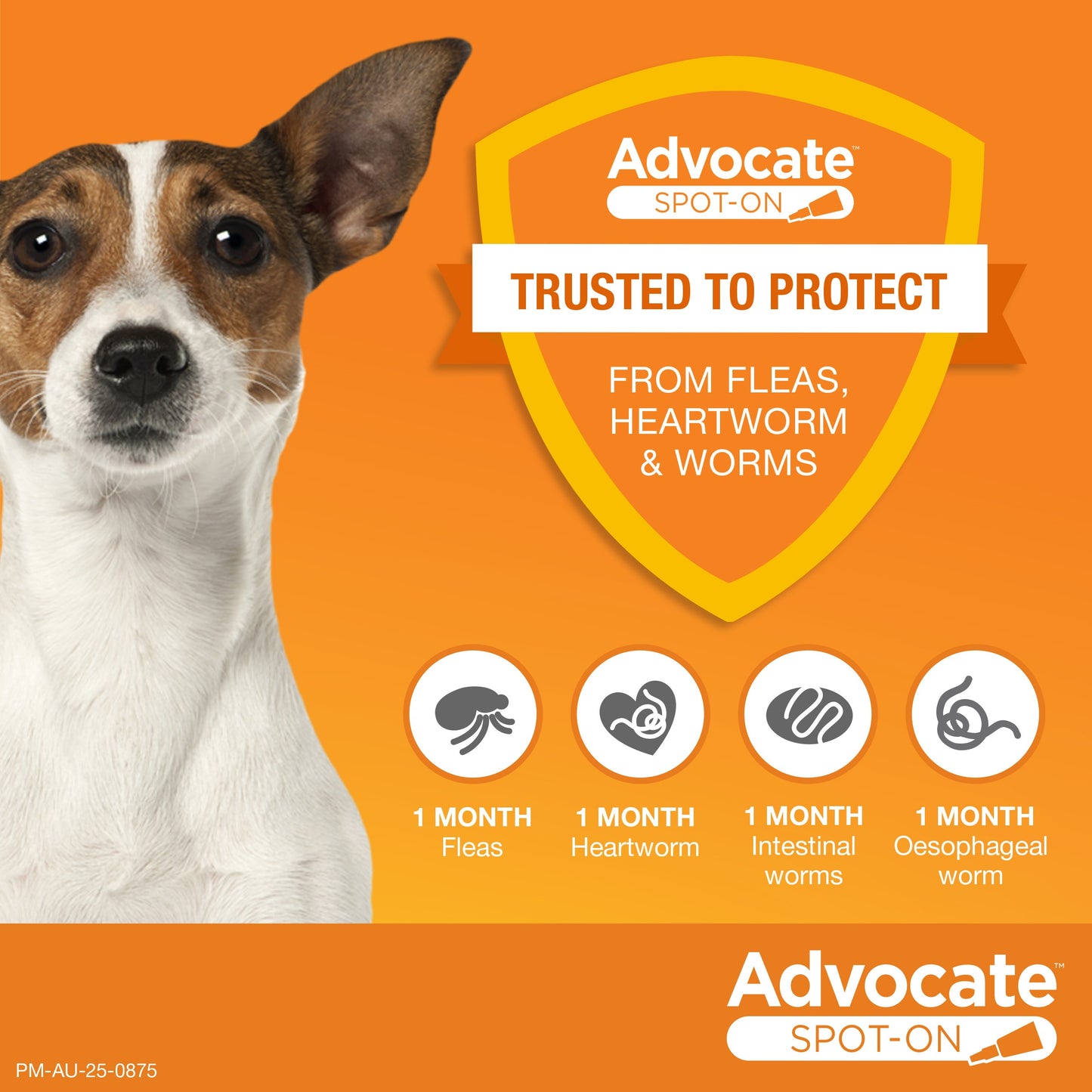 Advocate Medium Breed 4-10kg Flea & Worming Spot-On Dog Treatment