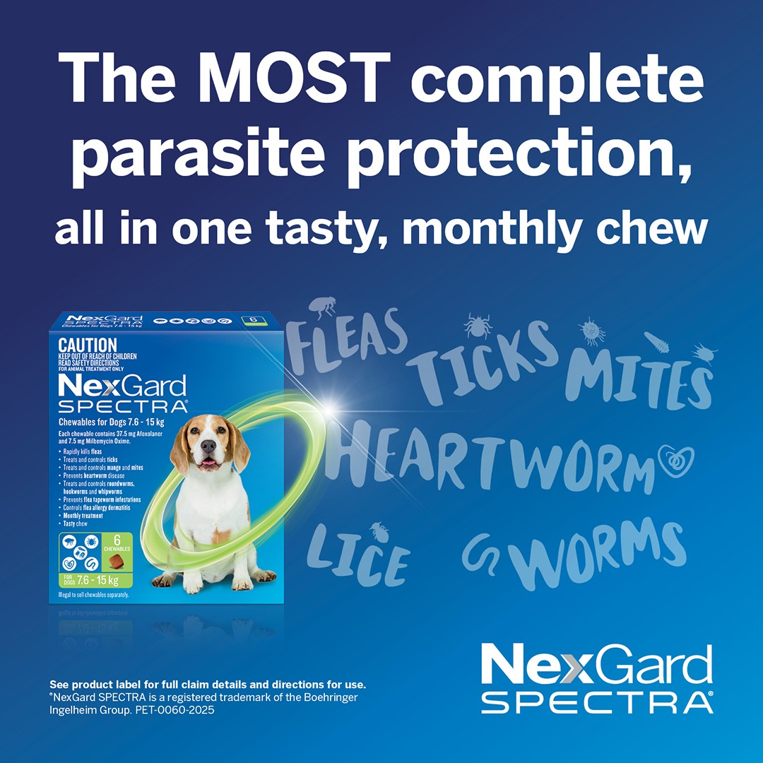 NexGard Spectra Medium Breed 7.6-15kg Flea, Tick & Worming Dog Chews