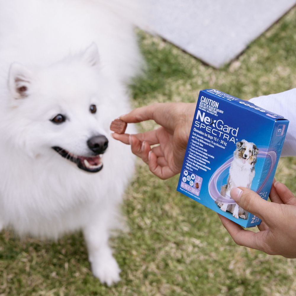 NexGard Spectra Large Breed 15.1-30kg Flea, Tick & Worming Dog Chews