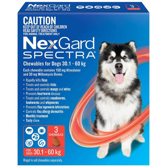 NexGard Spectra Extra Large Breed 30.1-60kg Flea, Tick & Worming Dog Chews