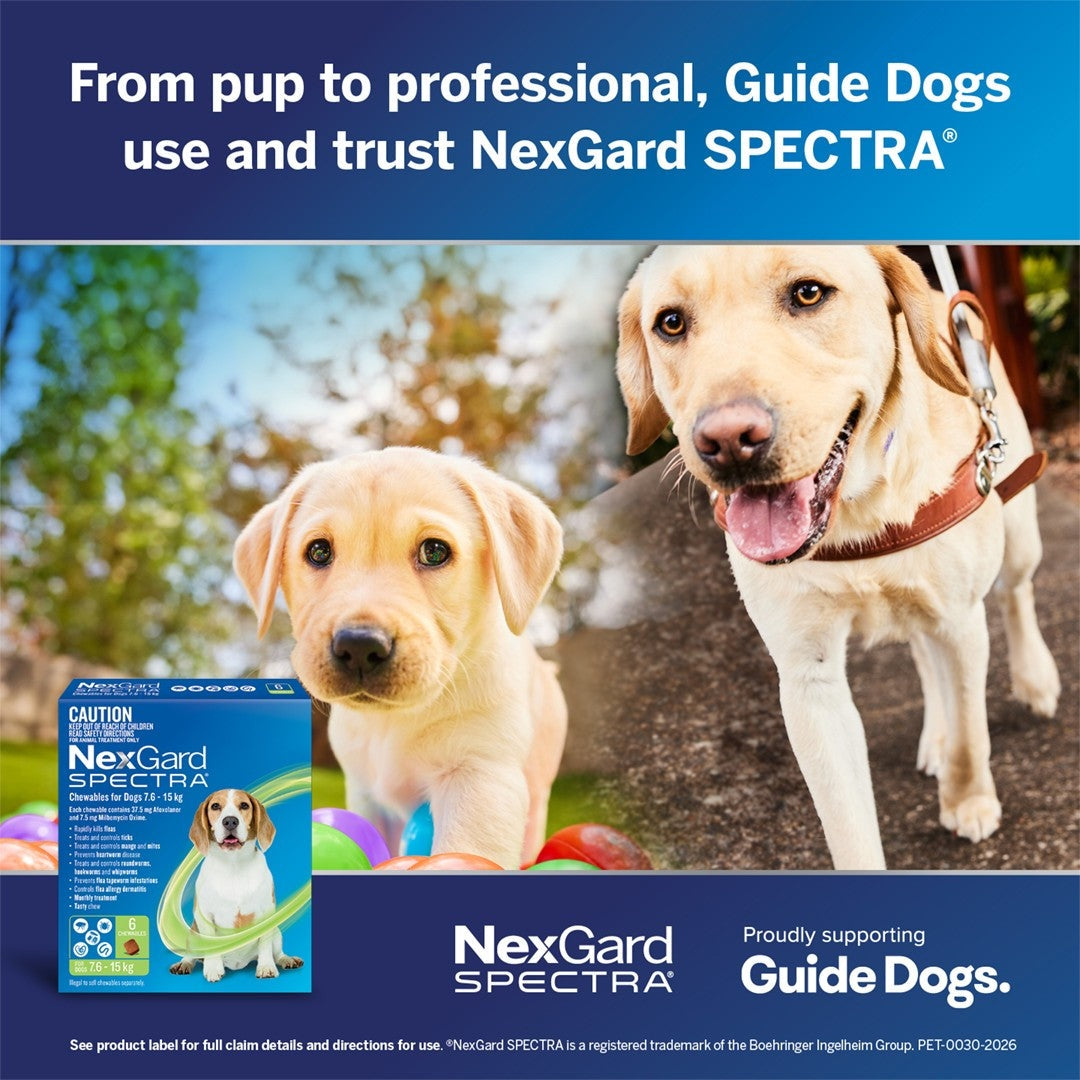 NexGard Spectra For Extra Small Dogs 1.35-3.5kg