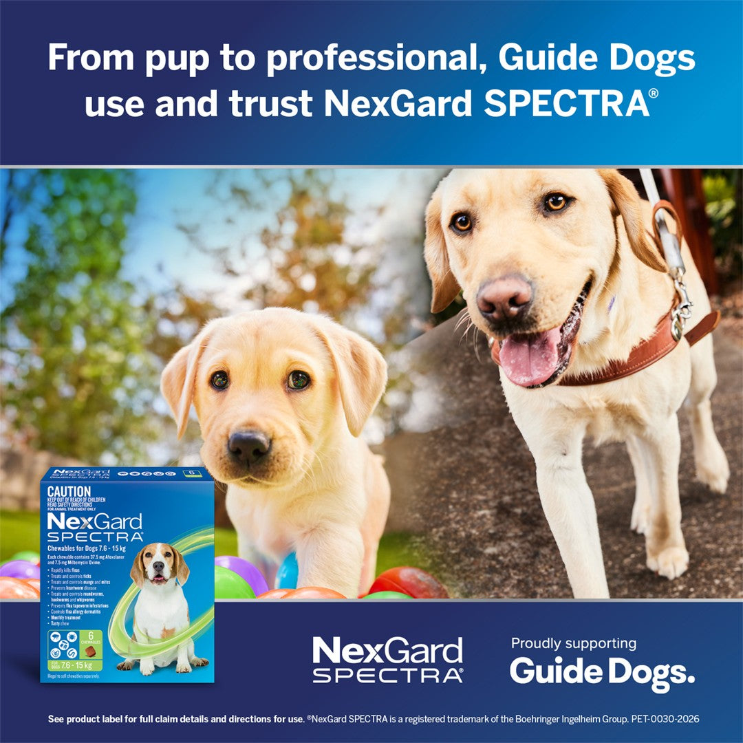 NexGard Spectra Medium Breed 7.6-15kg Flea, Tick & Worming Dog Chews