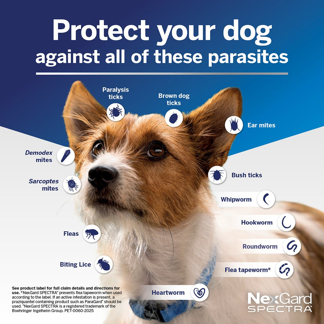 NexGard Spectra Medium Breed 7.6-15kg Flea, Tick & Worming Dog Chews