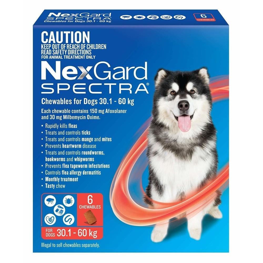 NexGard Spectra Extra Large Breed 30.1-60kg Flea, Tick & Worming Dog Chews