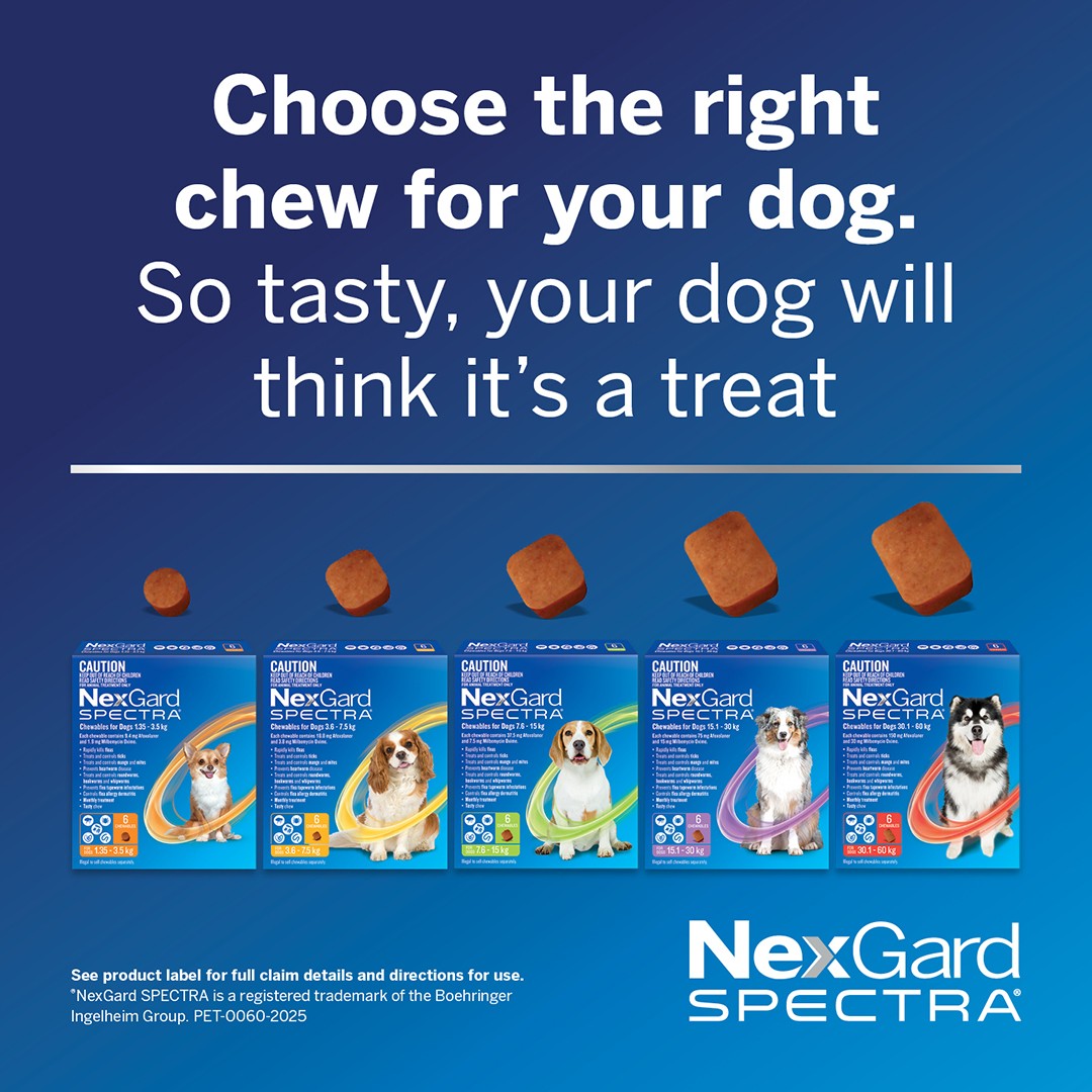 NexGard Spectra Extra Large Breed 30.1-60kg Flea, Tick & Worming Dog Chews