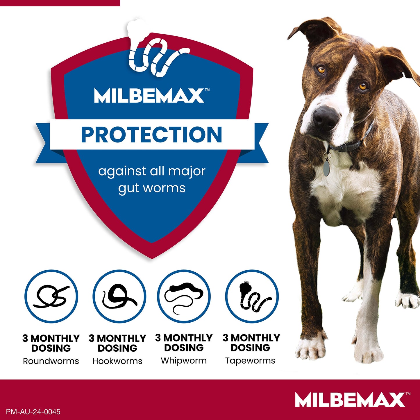 Milbemax Allwormer >5kg Dog