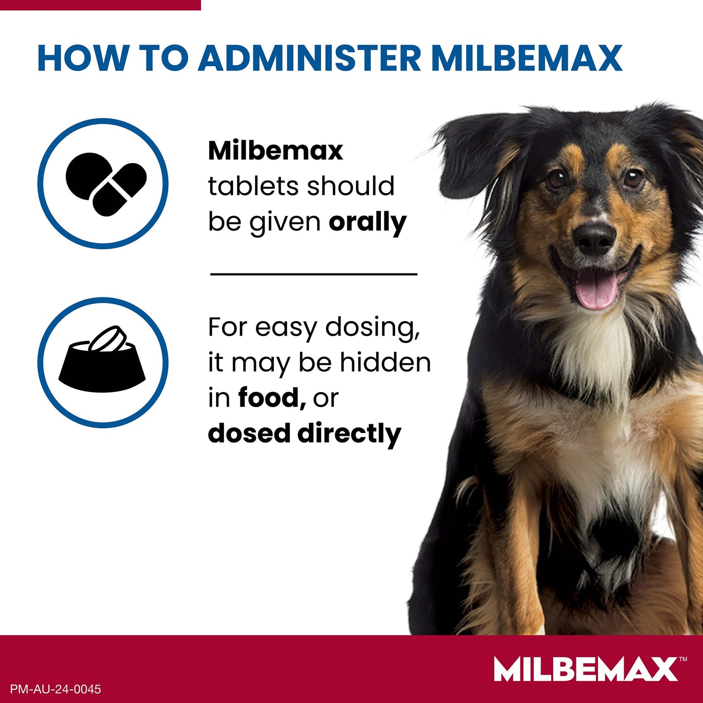 Milbemax Allwormer >5kg Dog
