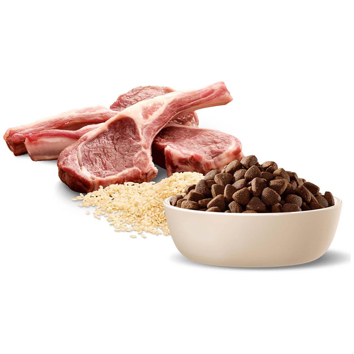 Advance Medium Breed Adult Lamb & Rice Dry Dog Food
