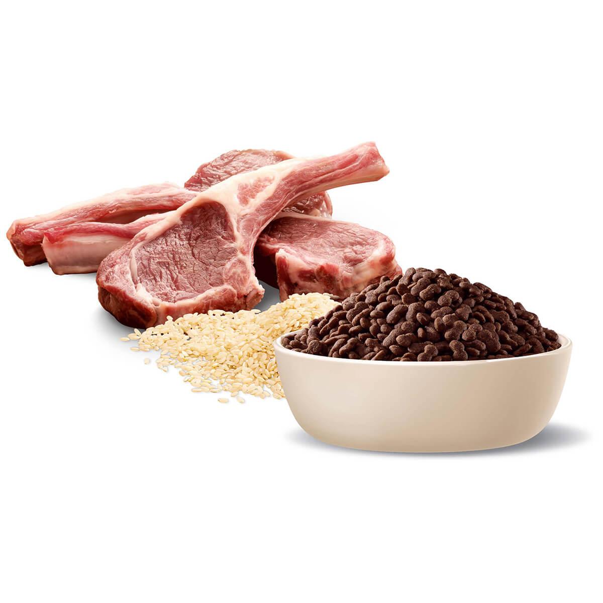 Advance Small Breed Adult Lamb & Rice Dry Dog Food