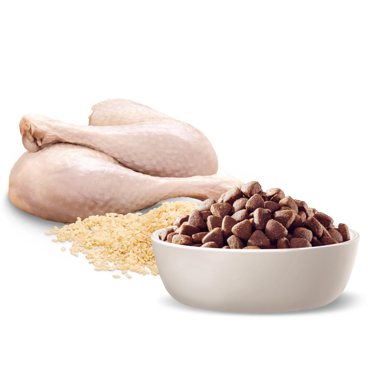 Advance Medium Breed Adult Turkey & Rice Dry Dog Food