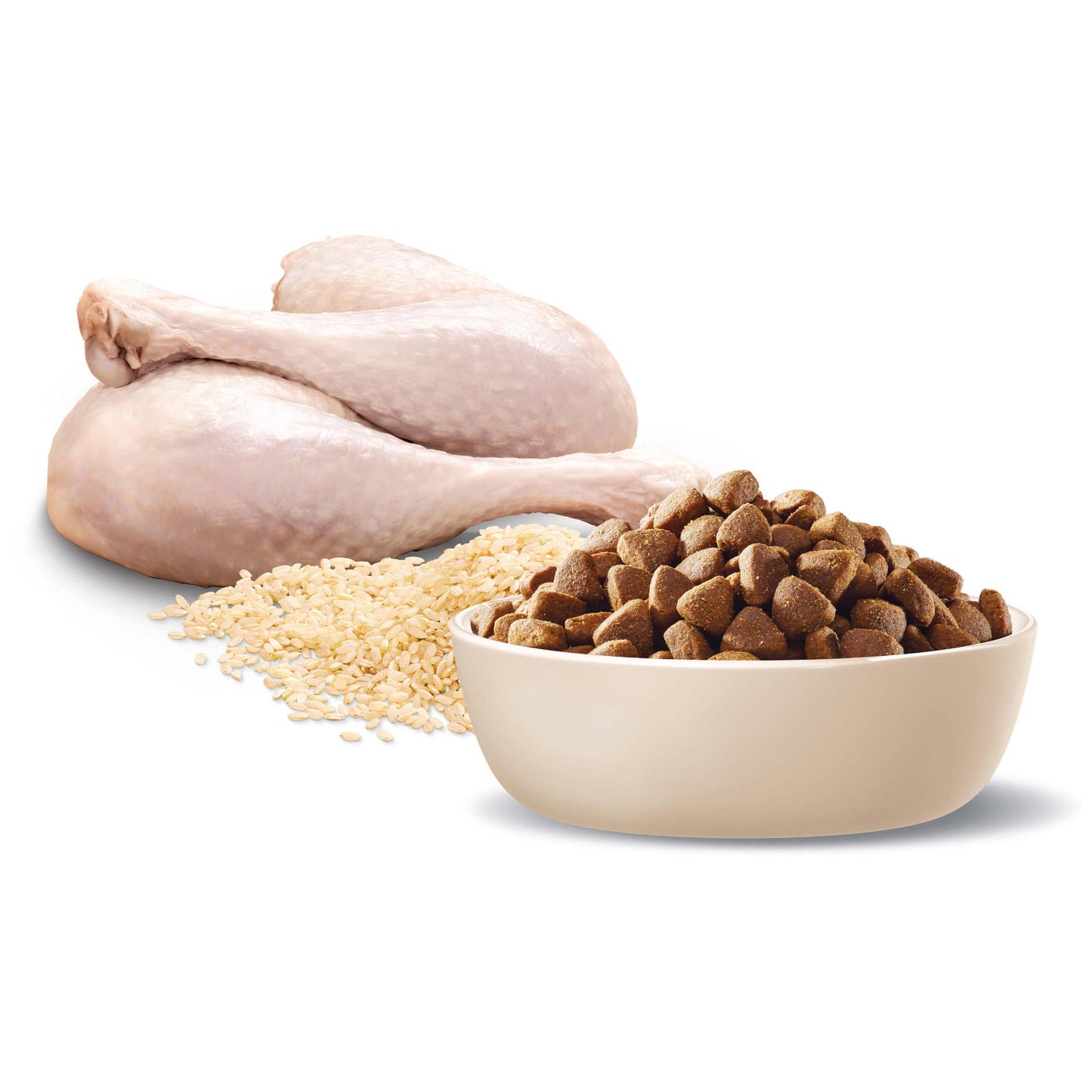 Advance Adult Medium Breed Turkey and Rice Dry Dog Food