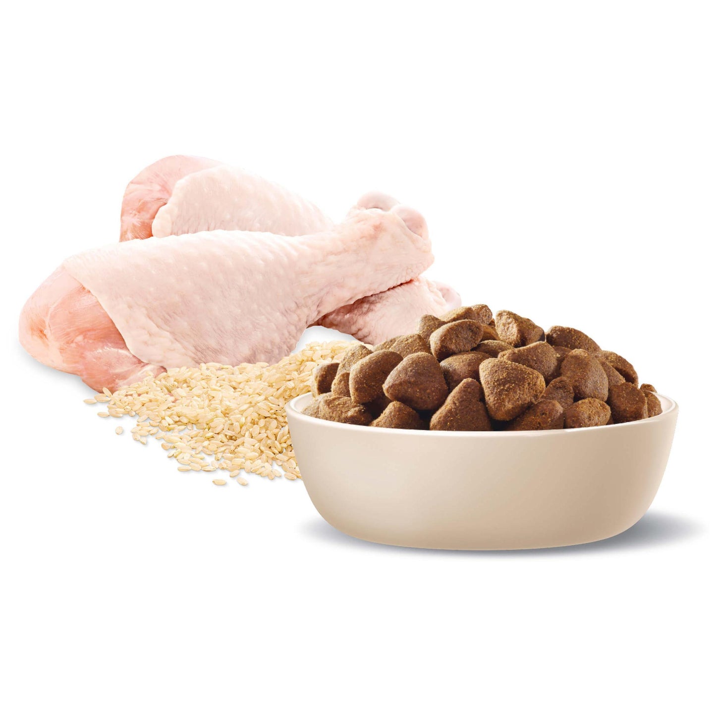 Advance Large Adult Chicken With Rice Dry Dog Food