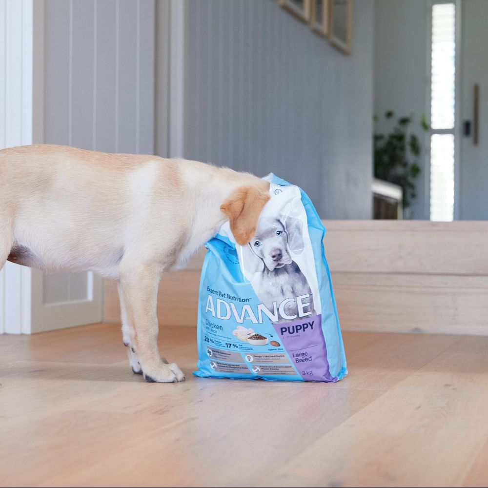 Advance Large Breed Puppy Chicken & Rice Dry Dog Food