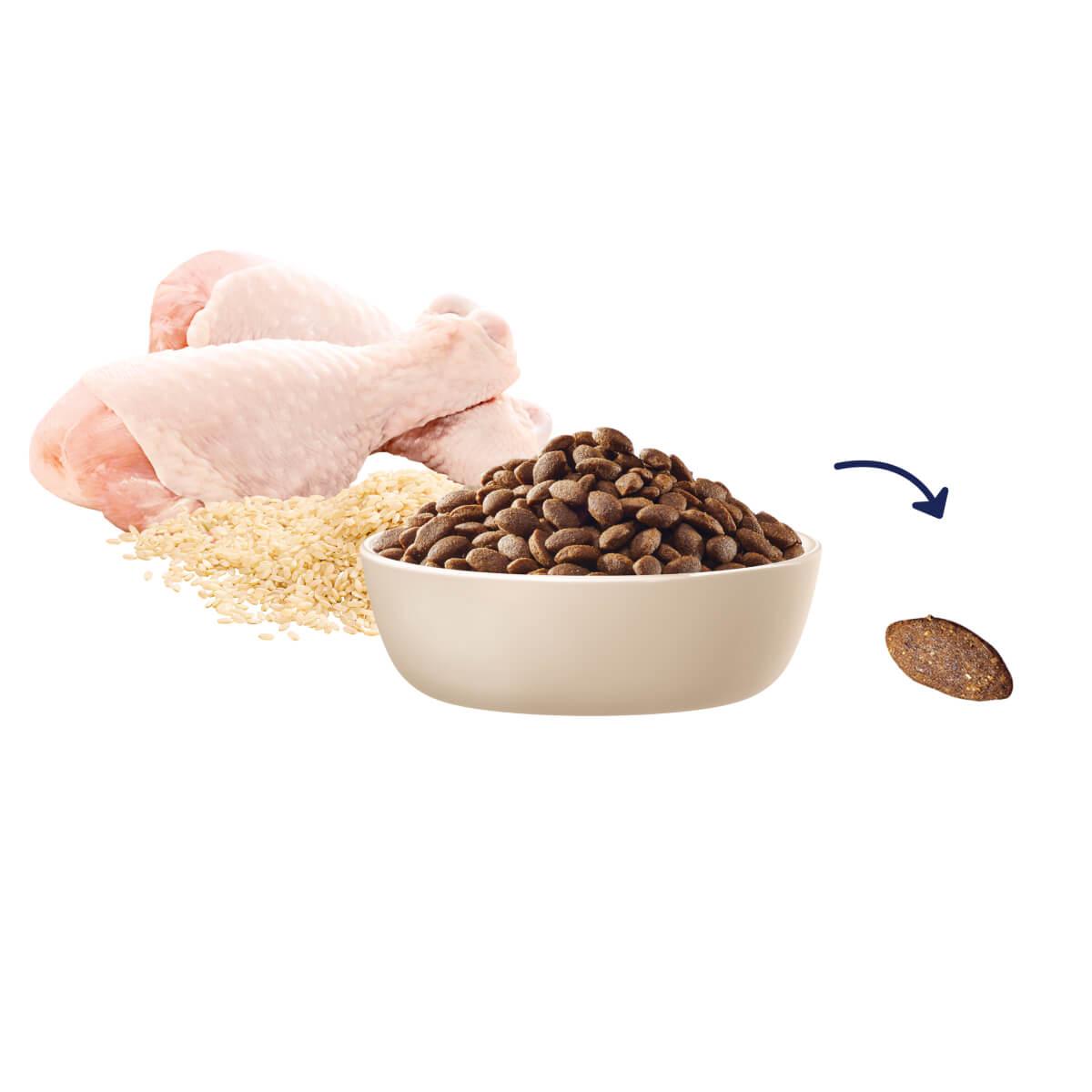 Advance Large Puppy Chicken With Rice Dry Dog Food