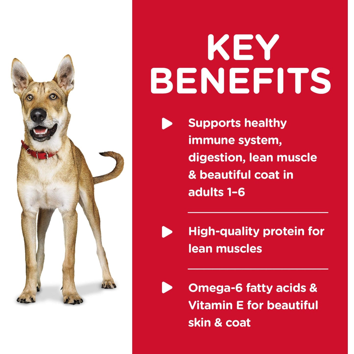 Hill's Science Diet Adult Chicken Wet Dog Food