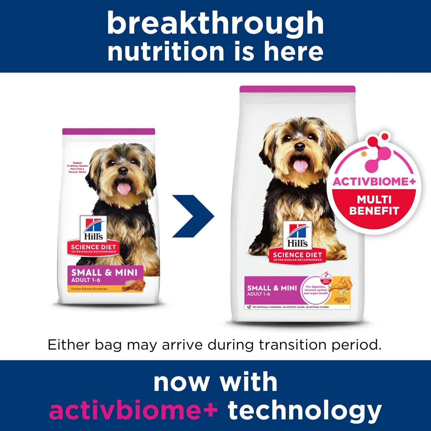 Hill's Science Diet Small & Mini Adult Dry Dog Food