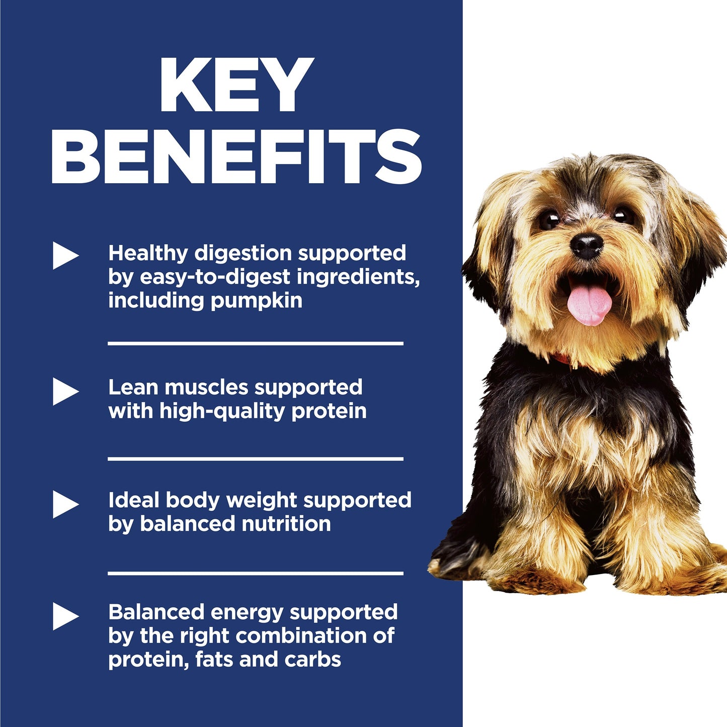 Hill's Science Diet Small & Mini Adult Dry Dog Food