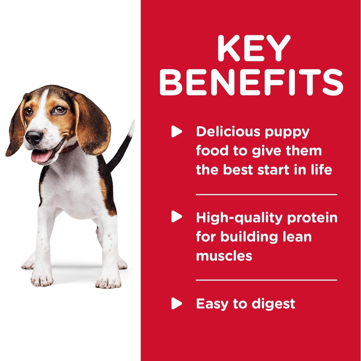 Hill's Science Diet Savory Stew Puppy Chicken & Vegetable Wet Dog Food