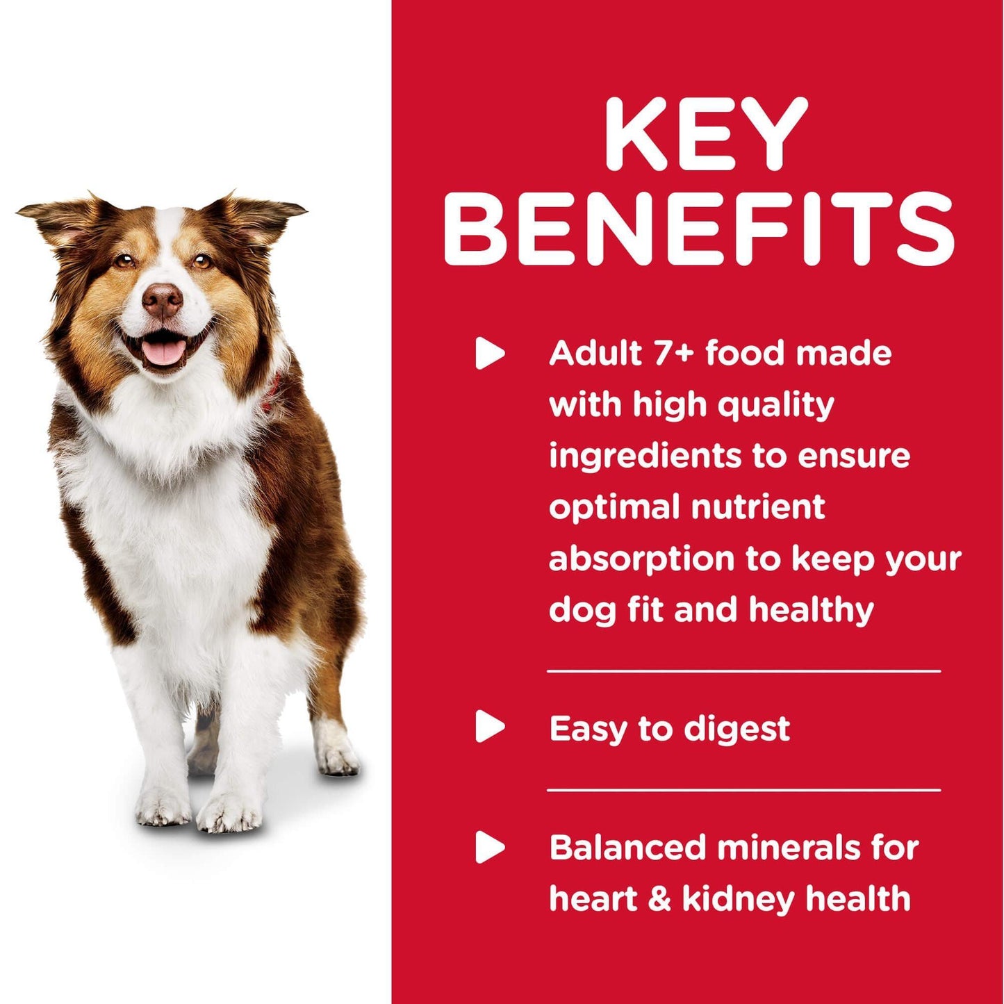 Hill's Science Diet Senior Beef Wet Dog Food